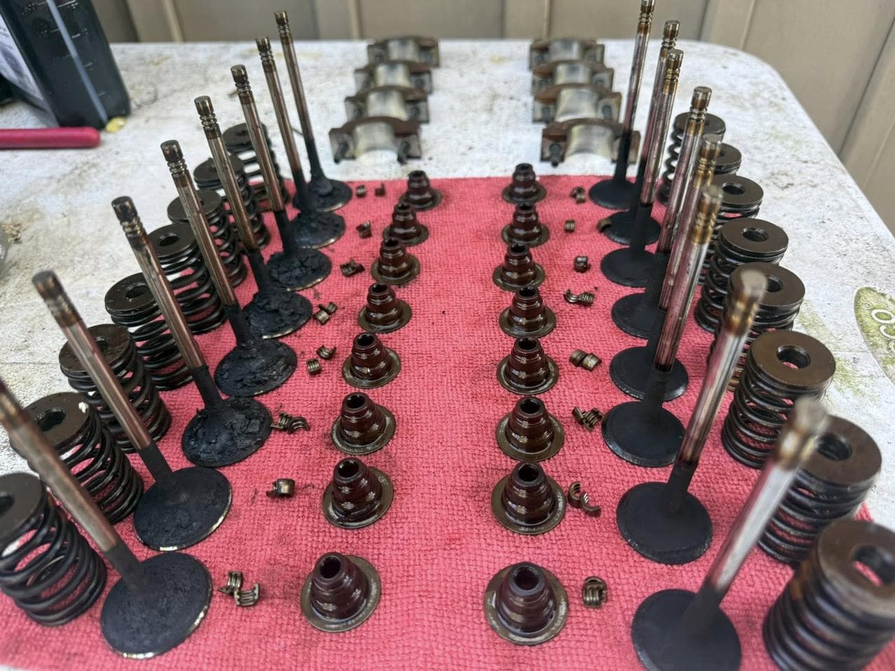 Engine valves and springs laid out during rebuild